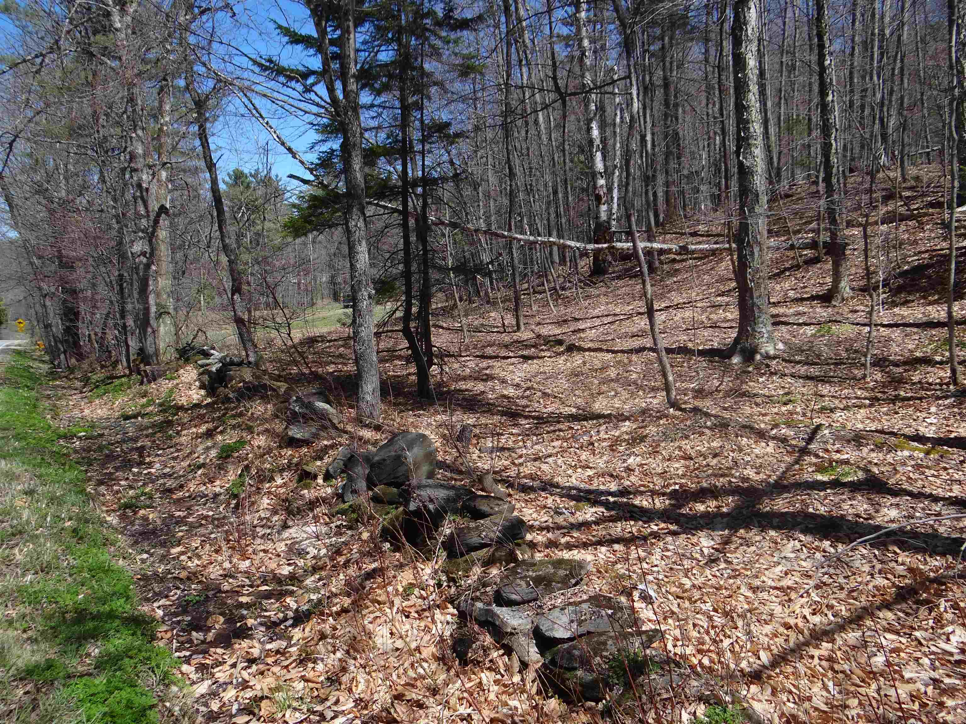 0 South Road South Woodstock, VT 05071 - Photo 29 of 31