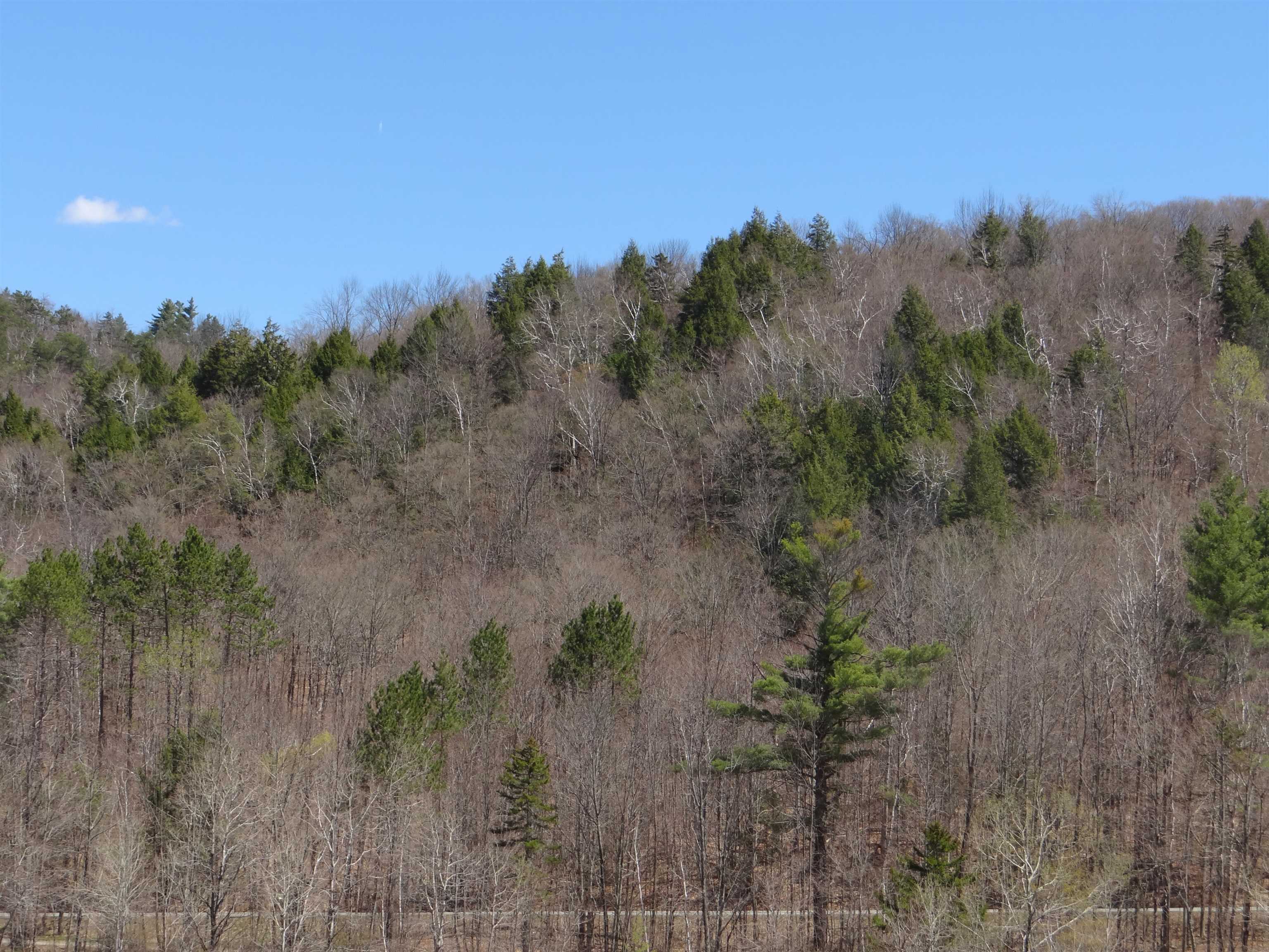 0 South Road South Woodstock, VT 05071 - Photo 31 of 31