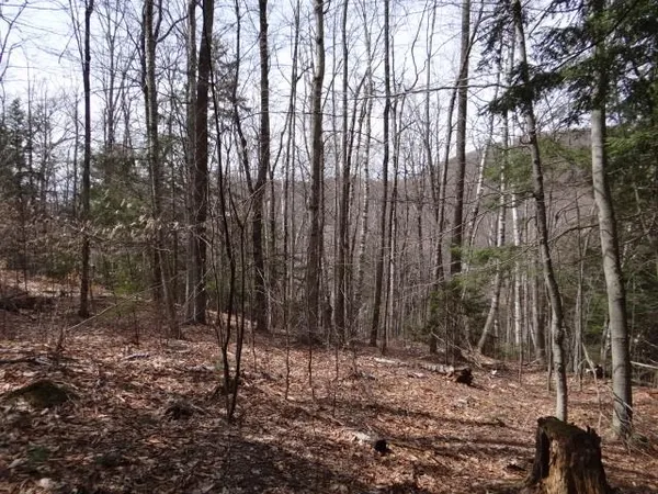 $646,500 | 0 South Road, South Woodstock, VT 05071