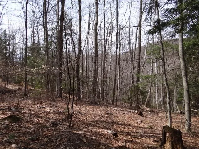 $646,500 | 0 South Road, South Woodstock, VT 05071