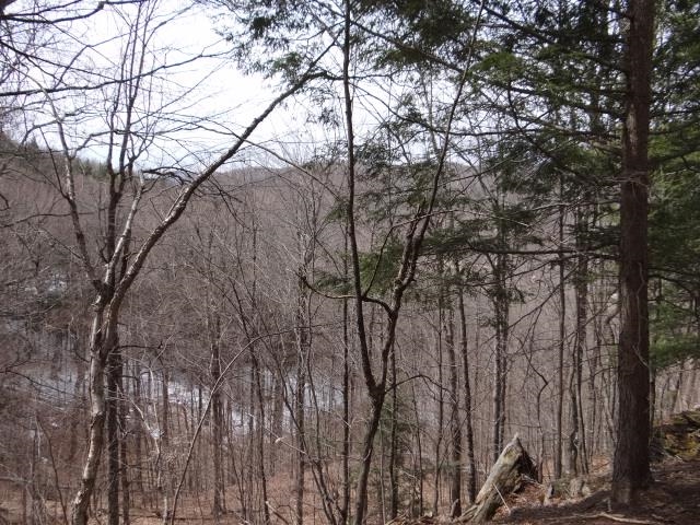 0 South Road South Woodstock, VT 05071 - Photo 5 of 24