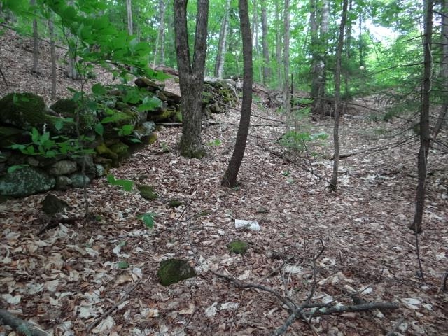 0 South Road South Woodstock, VT 05071 - Photo 6 of 24