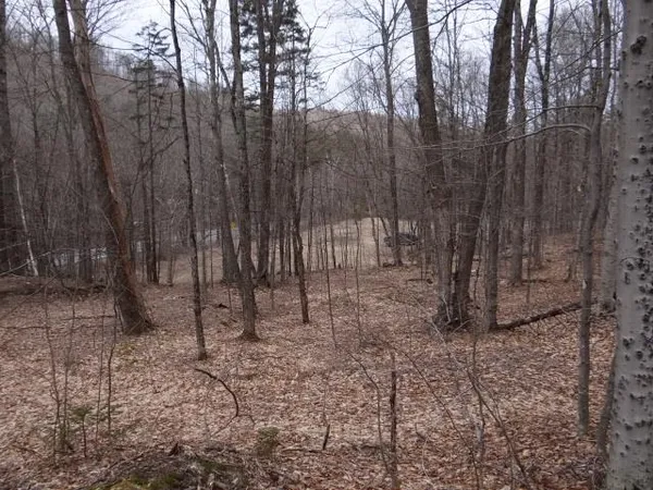 $646,500 | 0 South Road, South Woodstock, VT 05071