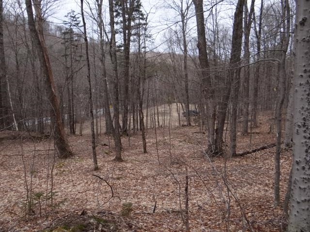 0 South Road South Woodstock, VT 05071 - Photo 7 of 24