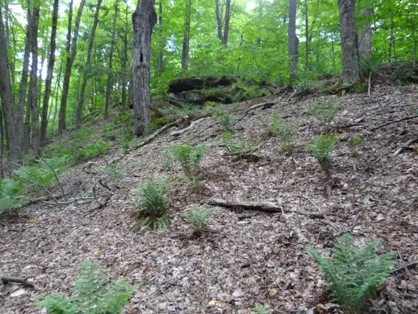 $646,500 | 0 South Road, South Woodstock, VT 05071