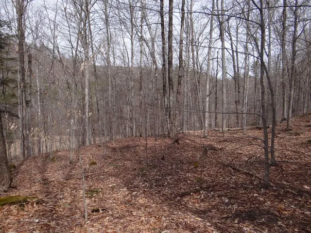 $646,500 | 0 South Road, South Woodstock, VT 05071