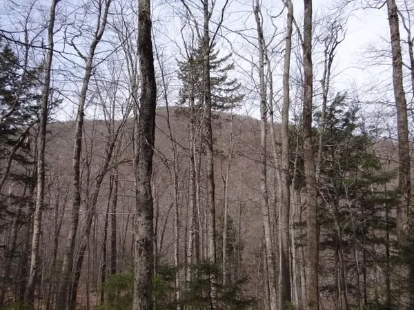 $646,500 | 0 South Road, South Woodstock, VT 05071