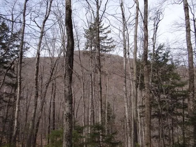 $646,500 | 0 South Road, South Woodstock, VT 05071