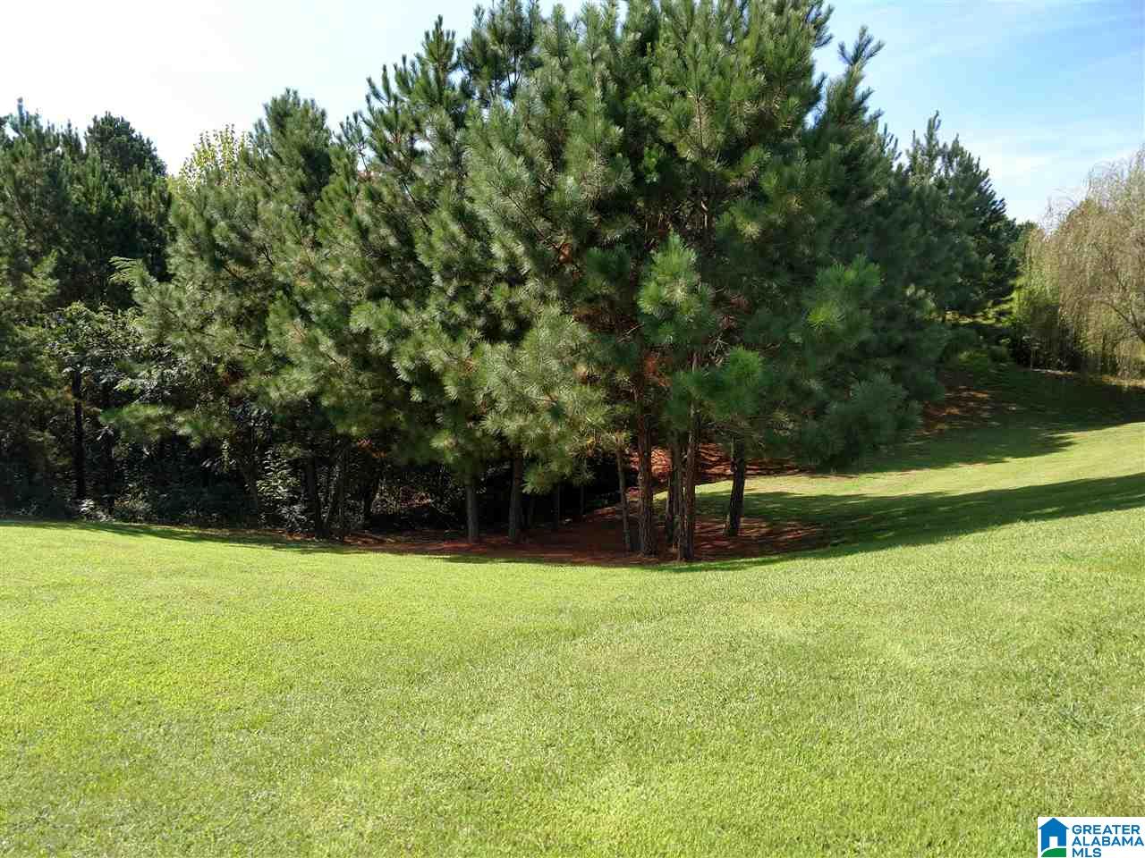 95 Woodland Ridge Road Odenville, AL 35120 - Photo 35 of 38 Gallery Image 35