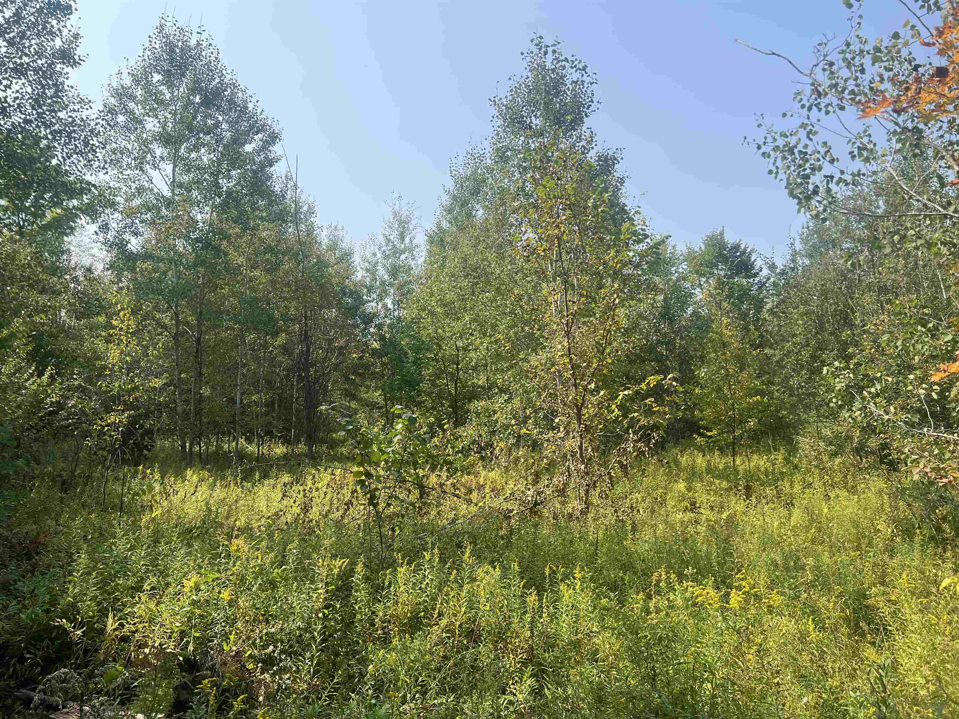 0 30 West 30 1/4 Road Boon, MI 49618 - Photo 7 of 9