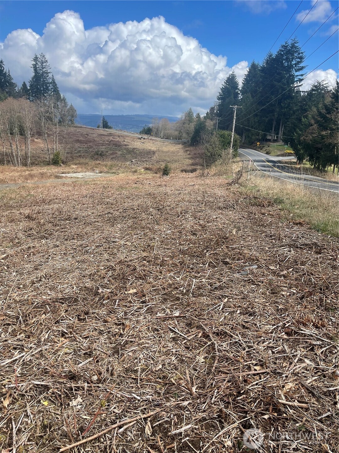 1015 Lone Oak Road Longview, WA 98632 - Photo 2 of 5