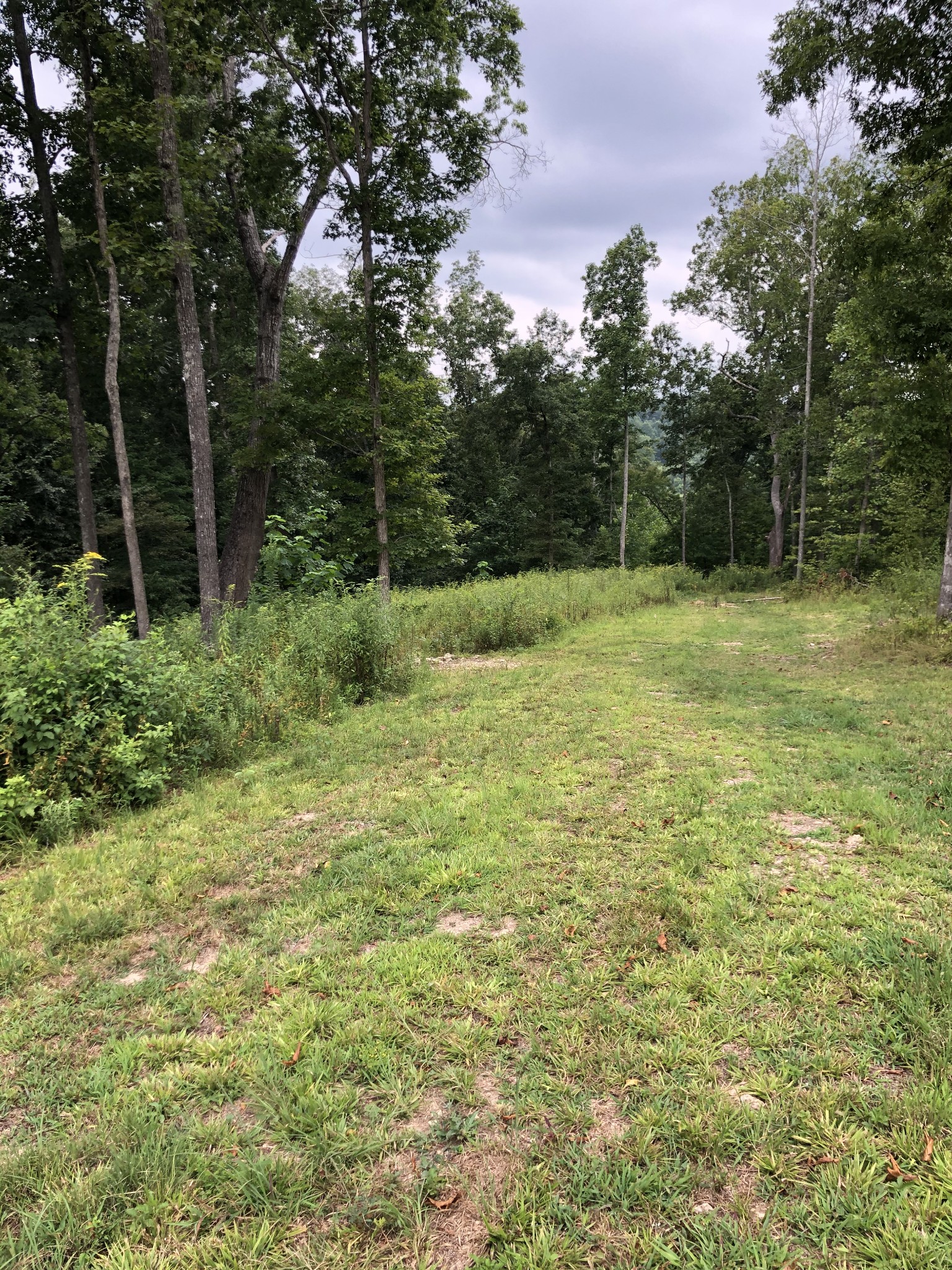 0 Valley View Road Joelton, TN 37080 - Photo 1 of 3 Gallery Image 1