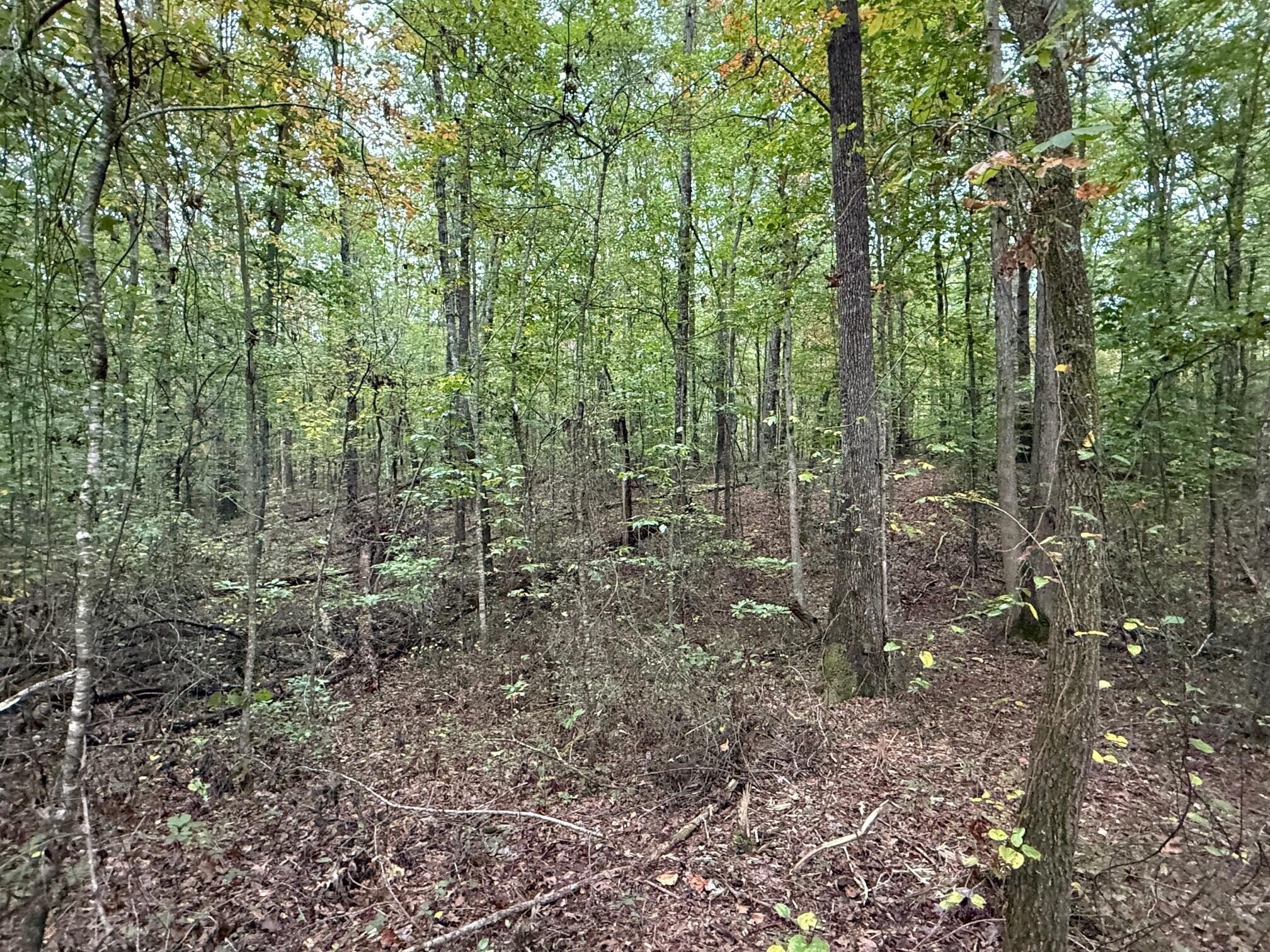4 Tipple Road Tracy City, TN 37387 - Photo 17 of 19 Gallery Image 17