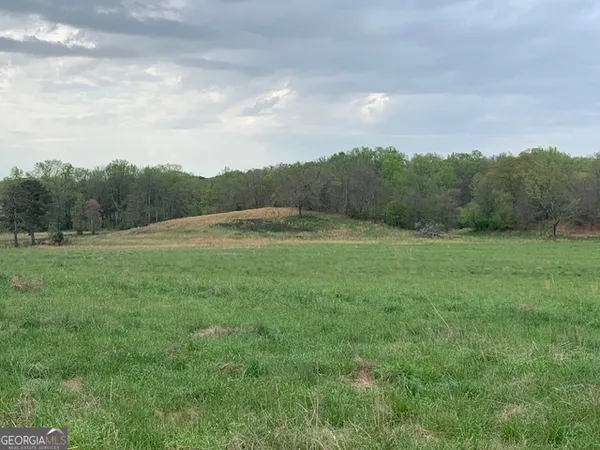 $2,950,000 | 0 Veterans Drive, Danielsville, GA 30633