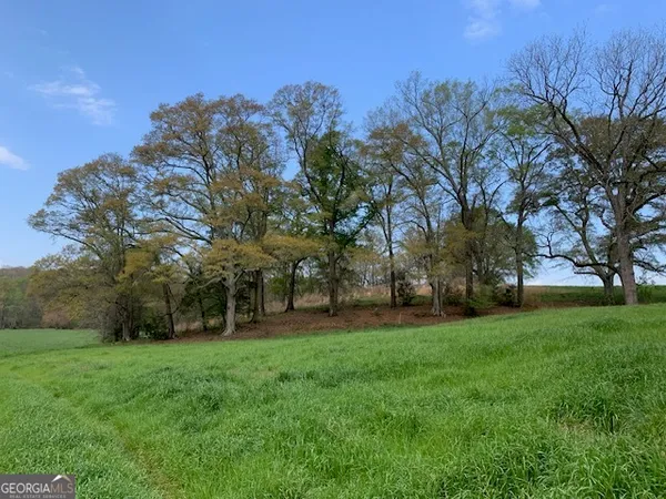 $2,950,000 | 0 Veterans Drive, Danielsville, GA 30633