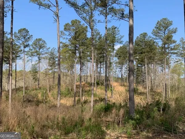 $2,950,000 | 0 Veterans Drive, Danielsville, GA 30633
