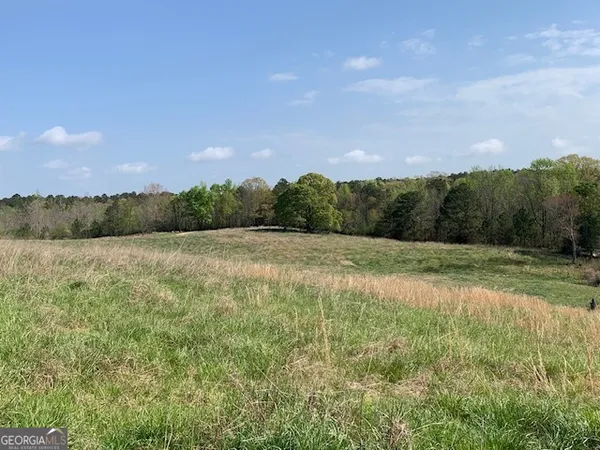 $2,950,000 | 0 Veterans Drive, Danielsville, GA 30633