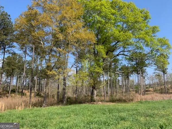 $2,950,000 | 0 Veterans Drive, Danielsville, GA 30633