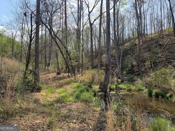 $2,950,000 | 0 Veterans Drive, Danielsville, GA 30633