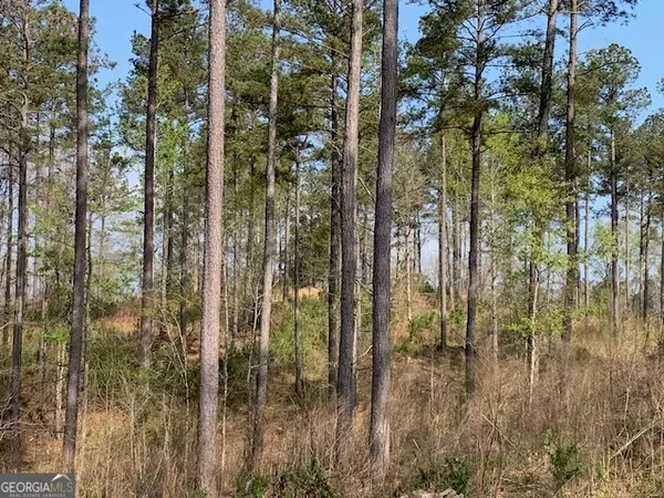 $2,950,000 | 0 Veterans Drive, Danielsville, GA 30633