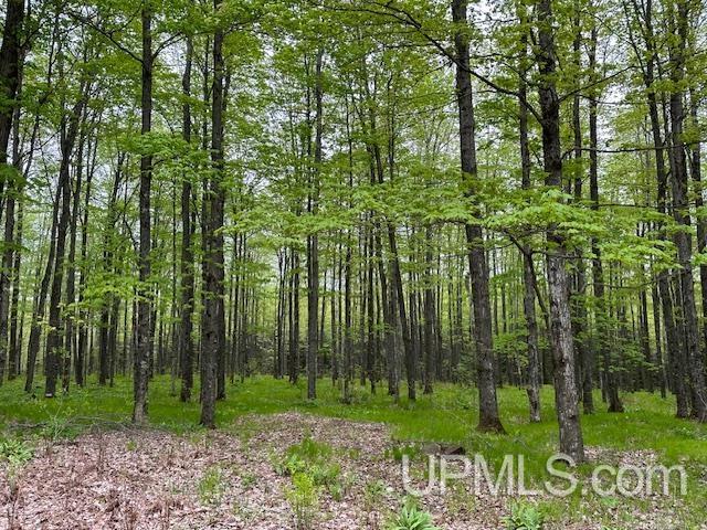325 Mastodon Road Crystal Falls, MI 49920 - Photo 31 of 39
