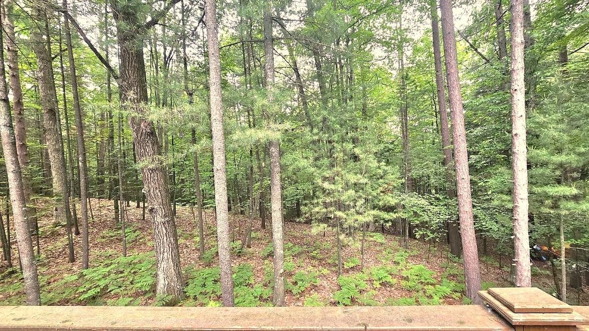 4911 Princess Way Gladwin, MI 48624 - Photo 17 of 55