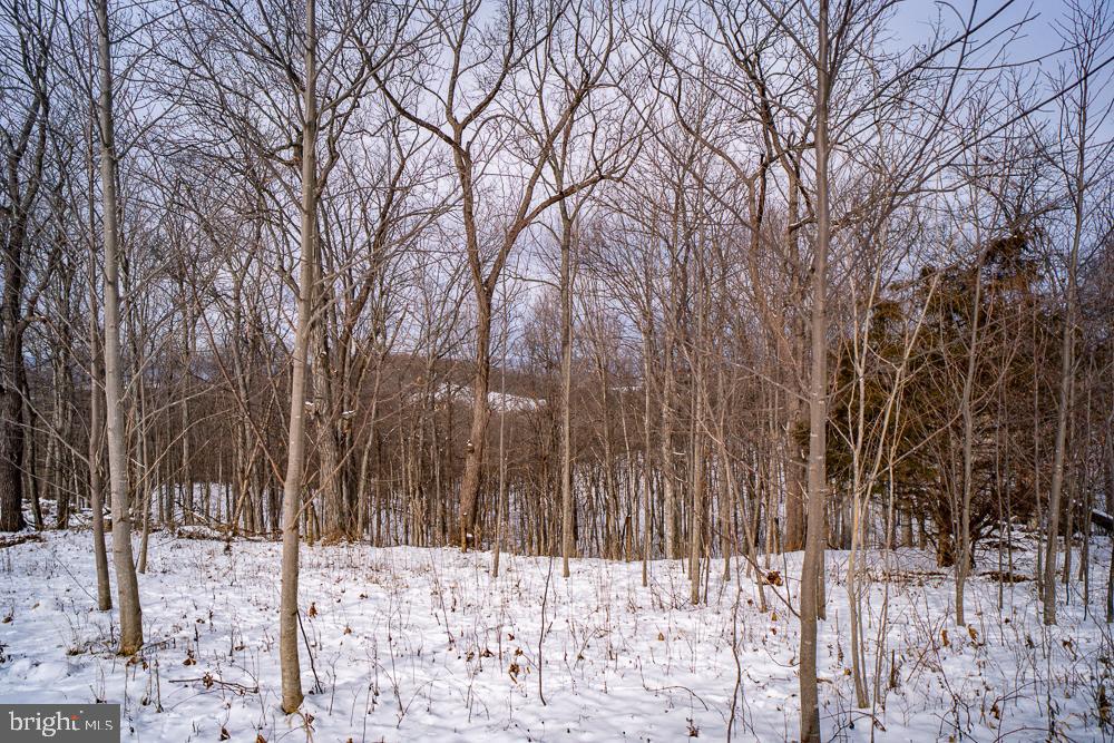 190 Ridgemore Drive Raphine, VA 24472 - Photo 87 of 95 Gallery Image 87