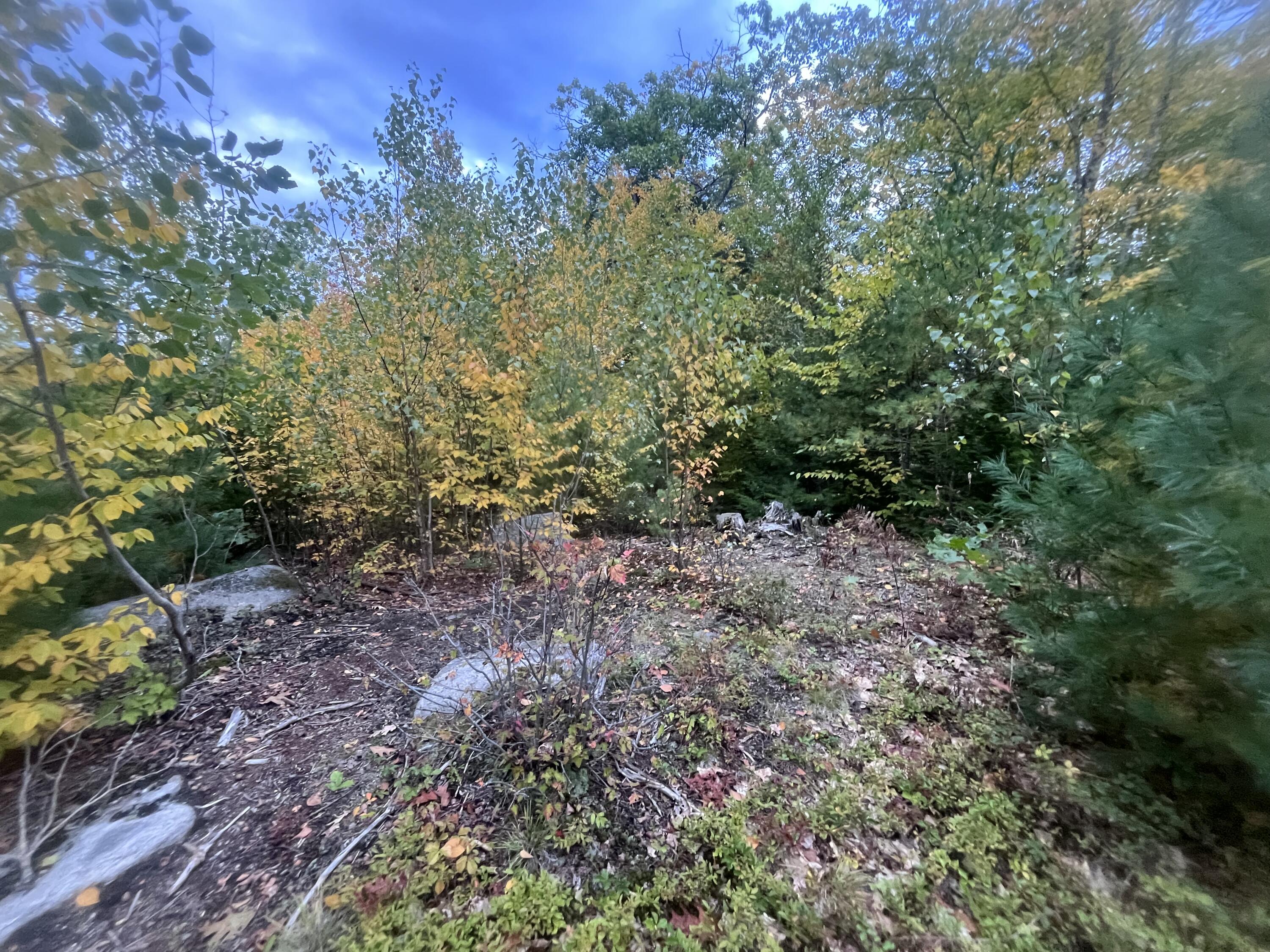 Lot 41 Turtle Trail Alfred, ME 04002 - Photo 5 of 23 IMG_5811