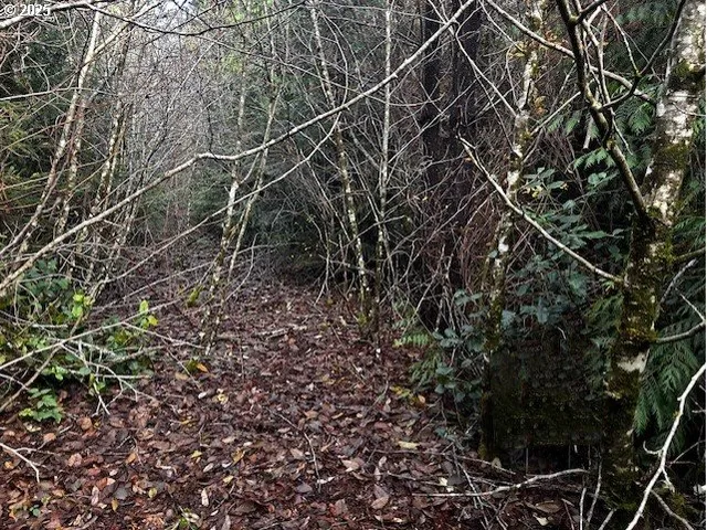 $325,000 | Or Coast Highway, Florence, OR 97439