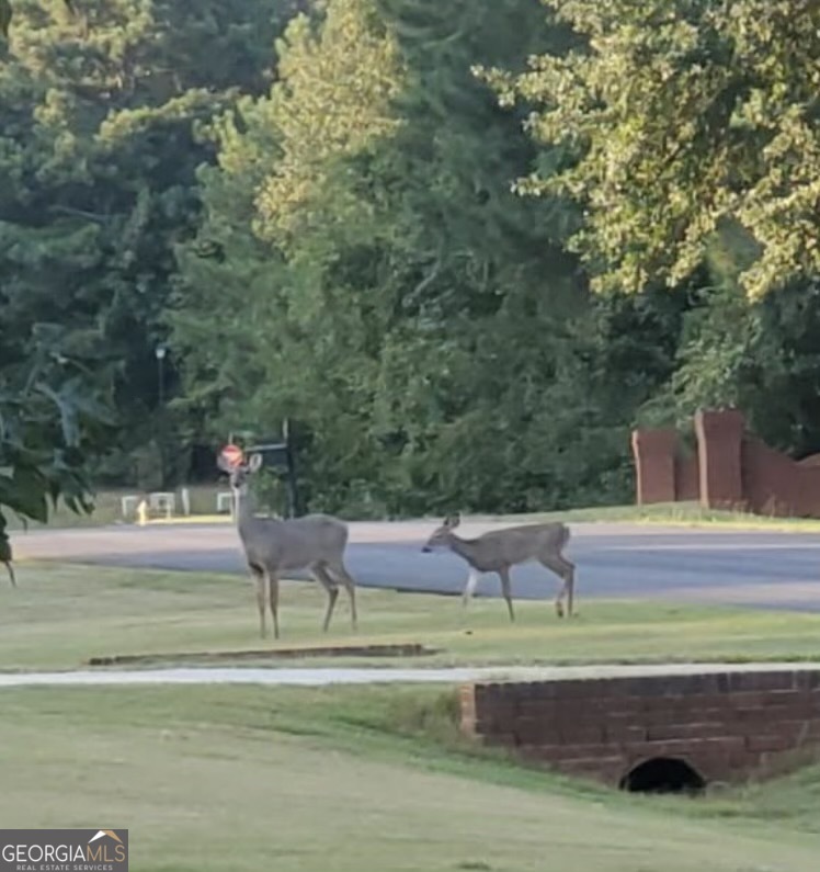 50 Walnut Ridge Court Covington, GA 30014 - Photo 15 of 15