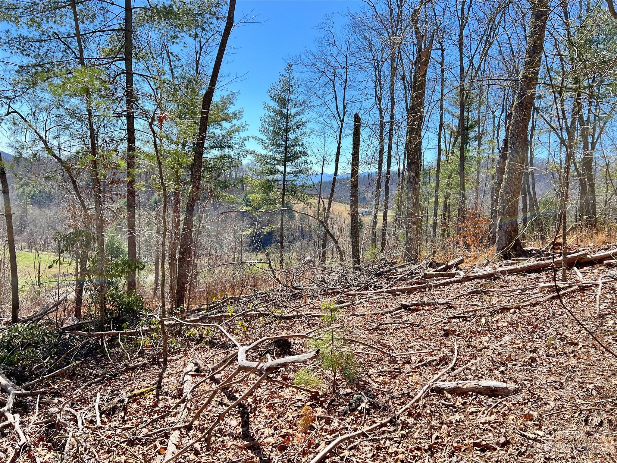 V/l Slagle Road Bakersville, NC 28705 - Photo 15 of 16 Gallery Image 15