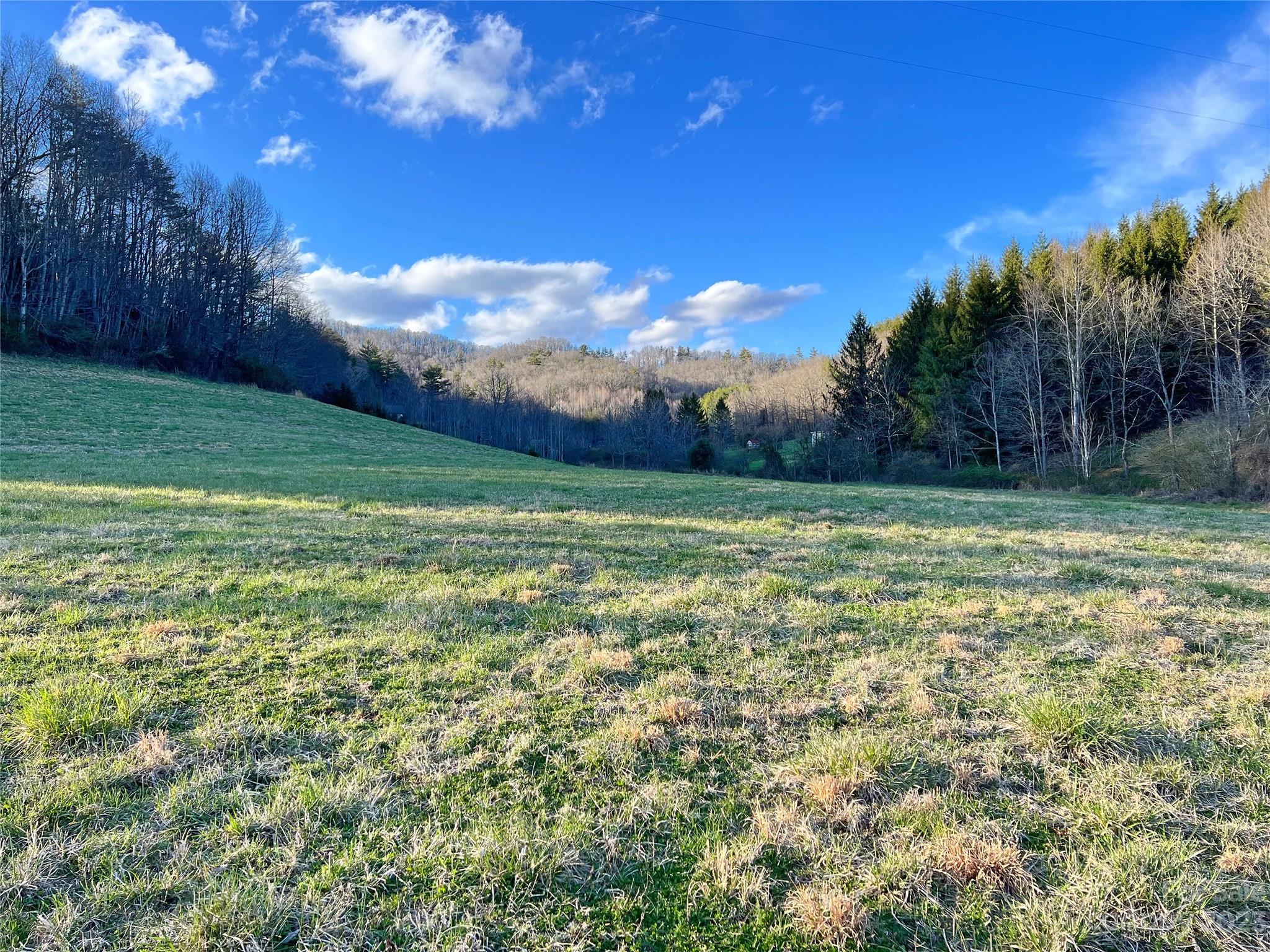 V/l Slagle Road Bakersville, NC 28705 - Photo 2 of 16 Gallery Image 2
