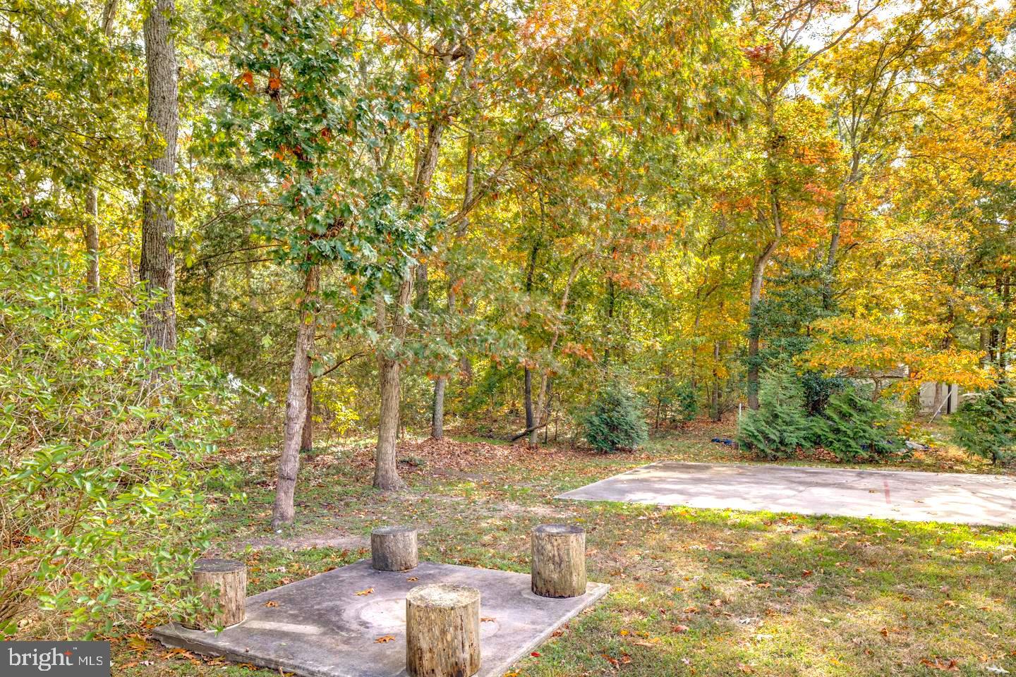 33 Laurel Road Millville, NJ 08332 - Photo 33 of 37 a view of yard with swimming pool