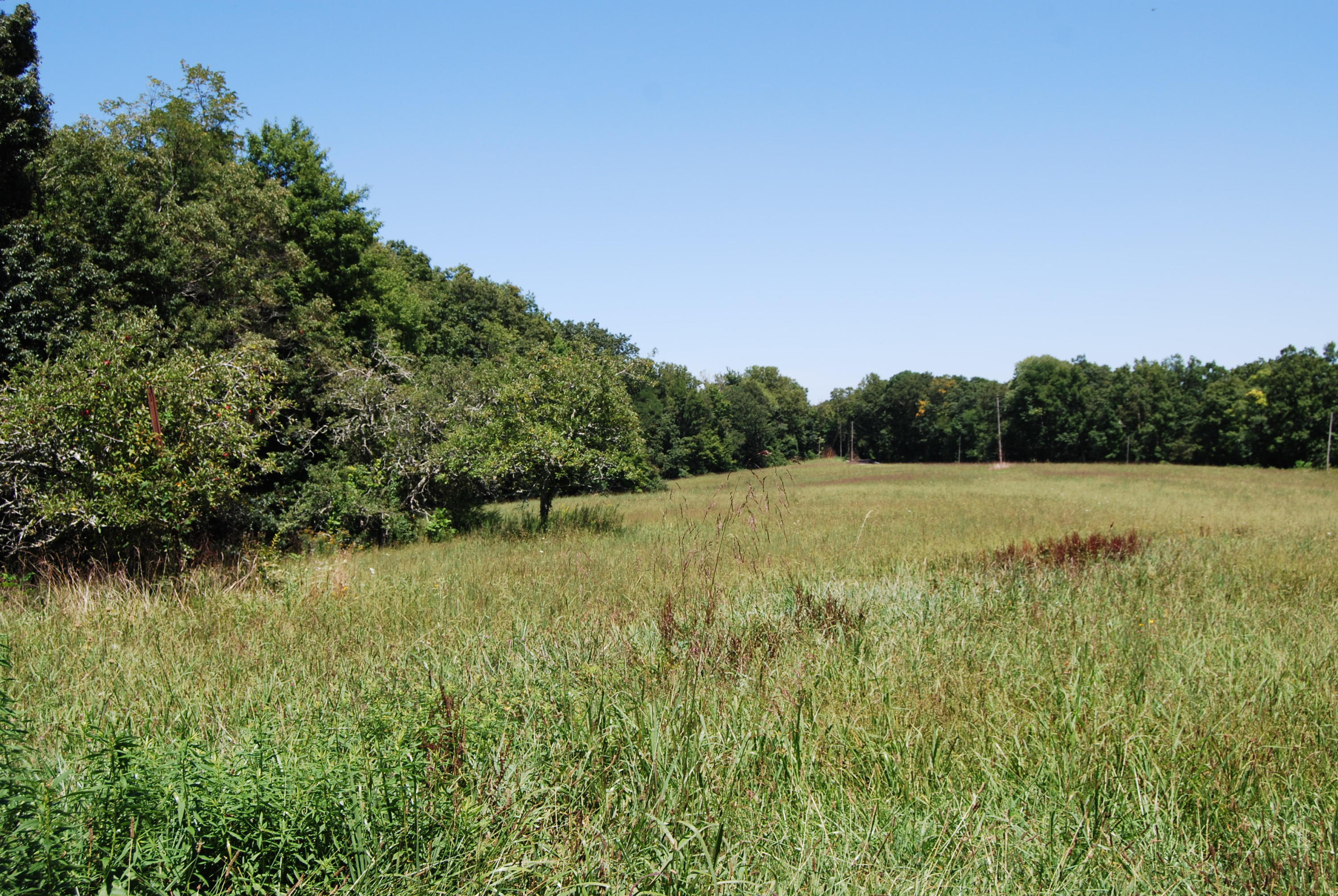 261 Lewis Cross Road Dunlap, TN 37327 - Photo 54 of 57 DSC_0525