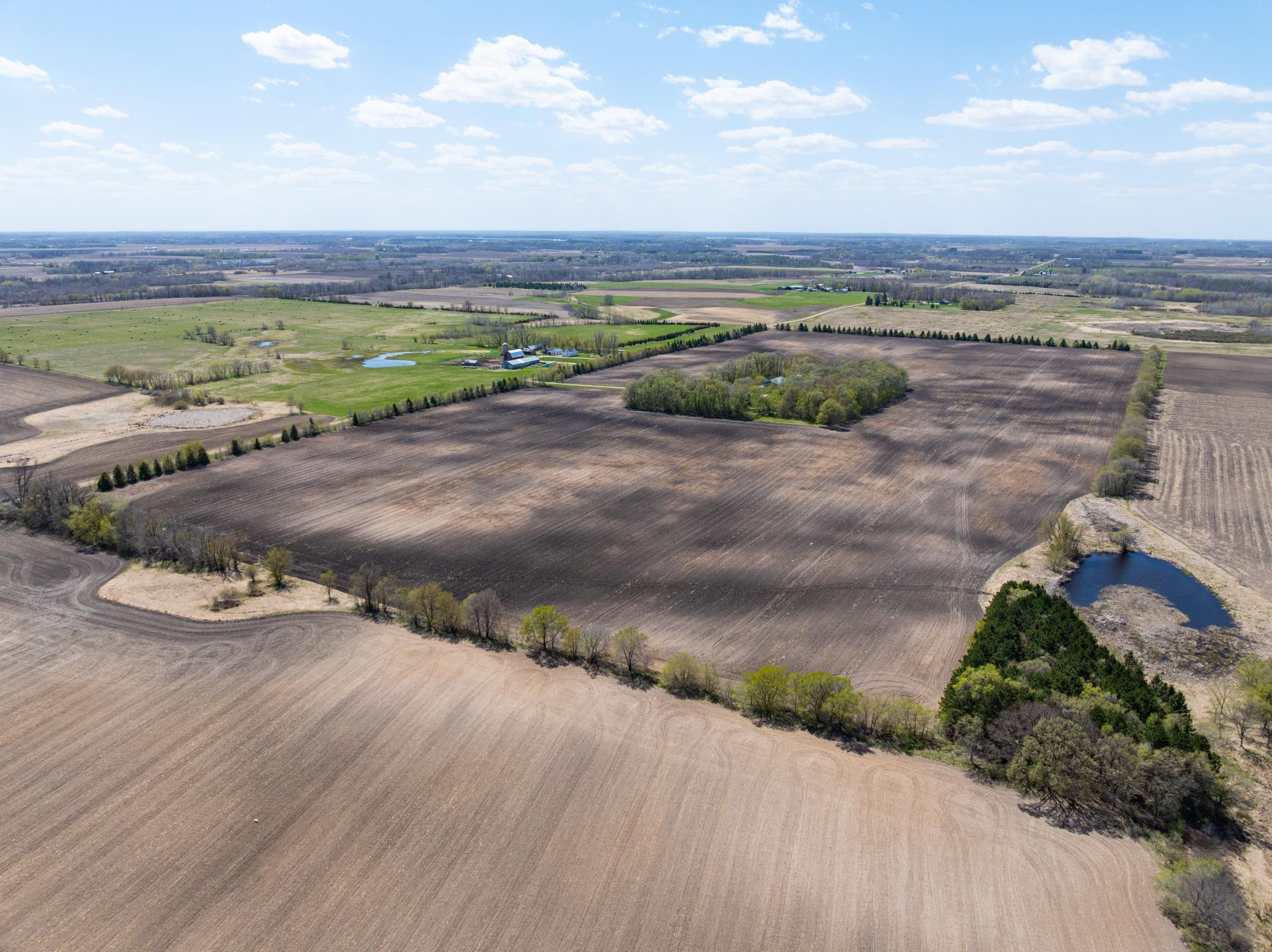 Forster Rd Forster Road Northeast Carlos, MN 56319 - Photo 7 of 12