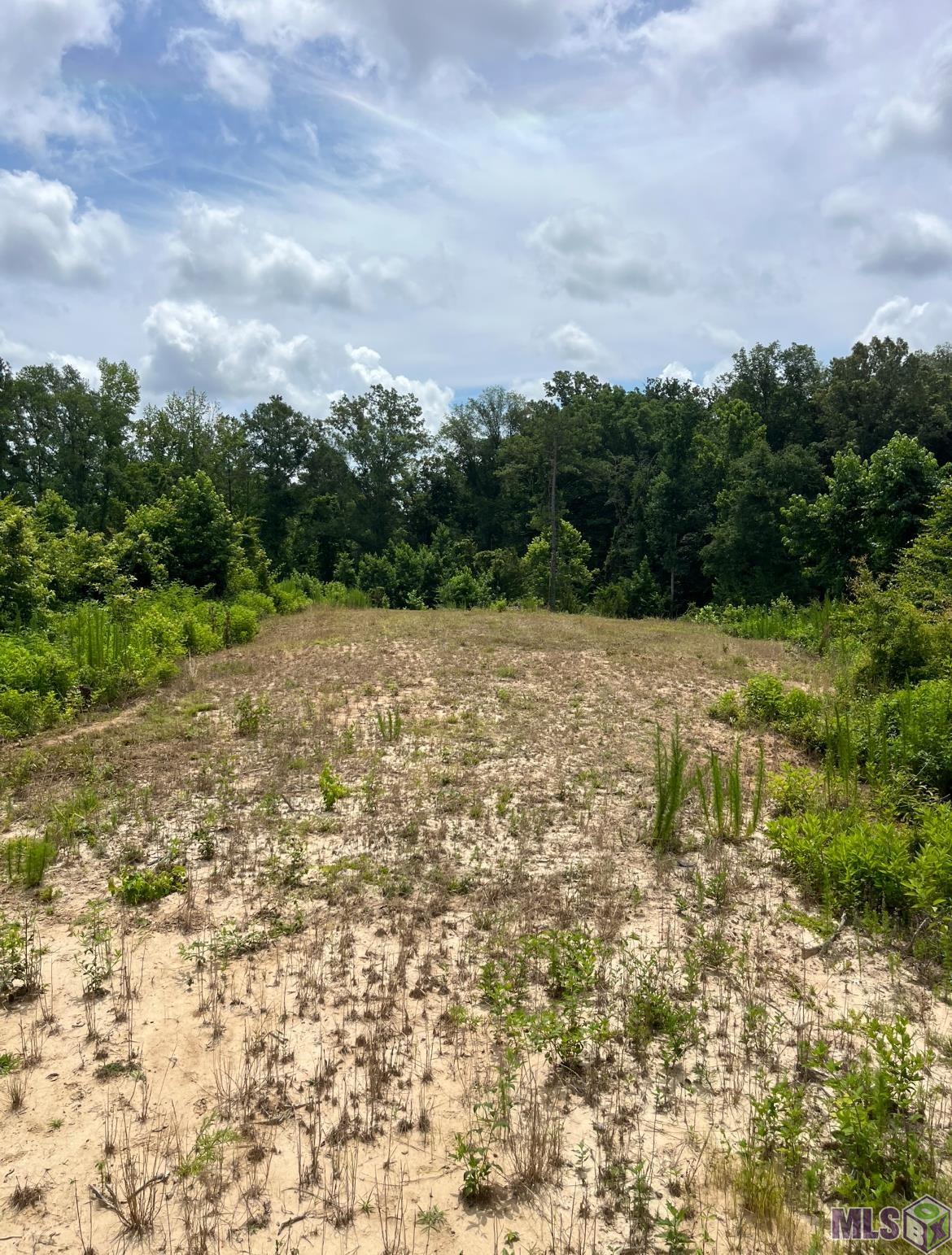 11255 Old Port Gibson Road Port Gibson, MS 39150 - Photo 19 of 32