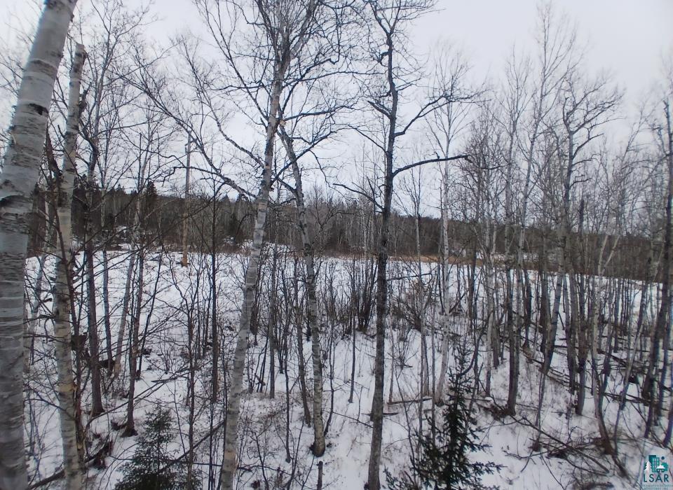 28 Morgan Road Grand Marais, MN 55604 - Photo 24 of 30 Gallery Image 24