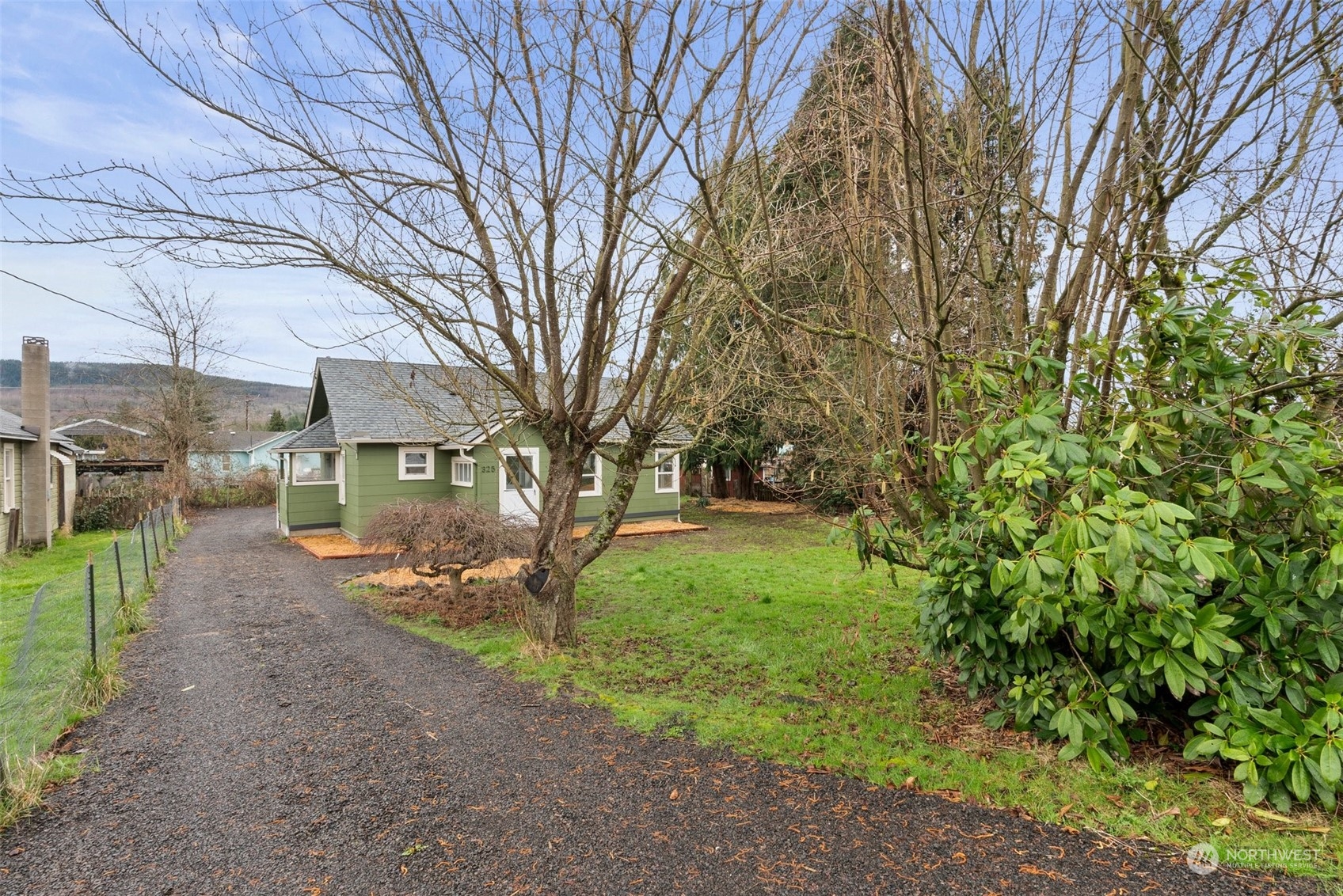 325 East Main Mossyrock, WA 98564 - Photo 24 of 24 a view of a yard with plants and large trees