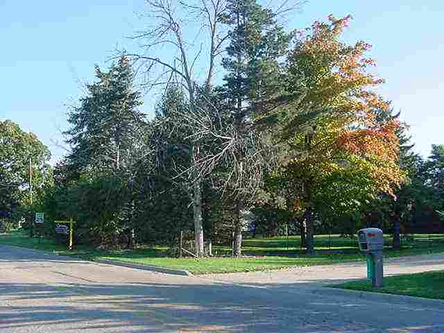 5141 Kidder Road Almont, MI 48003 - Photo 2 of 15 31075868-1.JPG