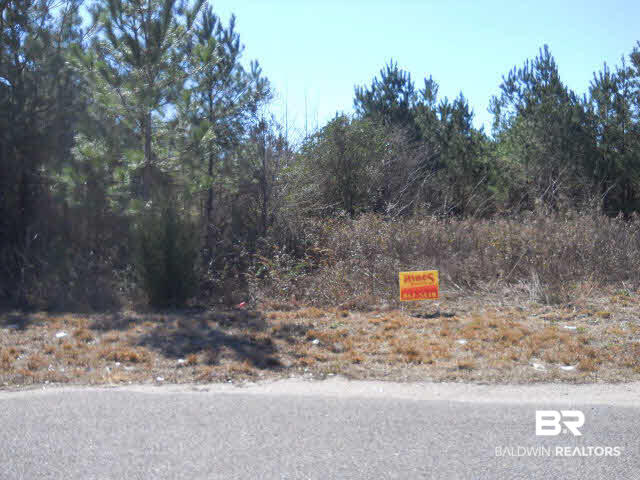 0 Tullamore Lane Brewton, AL 36426 - Photo 1 of 1