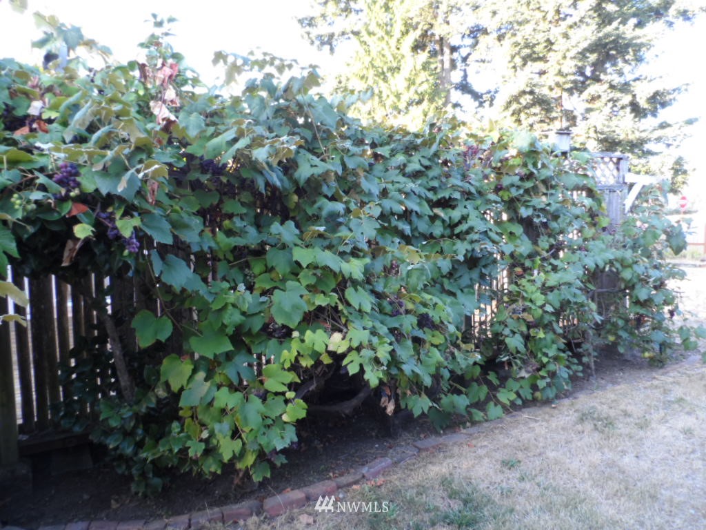 4209 Northeast 8th Street Renton, WA 98059 - Photo 6 of 16
