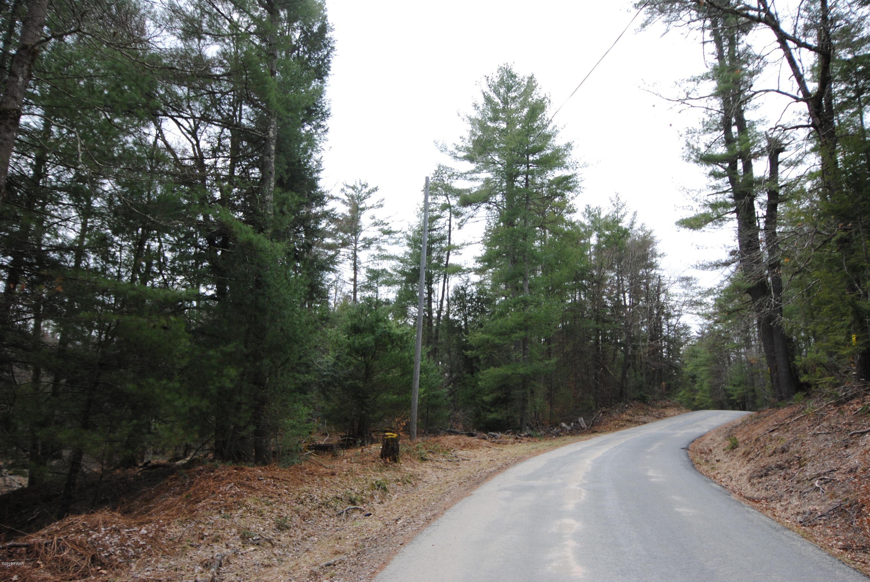 Swamp Pond Road Narrowsburg, NY 12764 - Photo 1 of 10