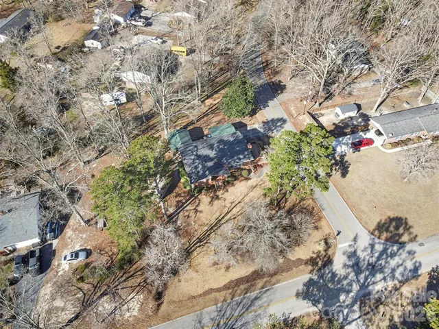 a plant that is in middle of garden