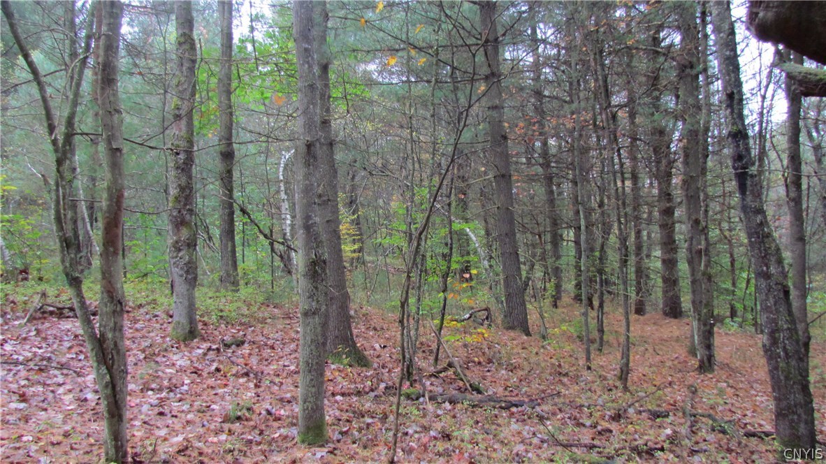 0 North To South Road Brantingham, NY 13312 - Photo 18 of 20 Gallery Image 18