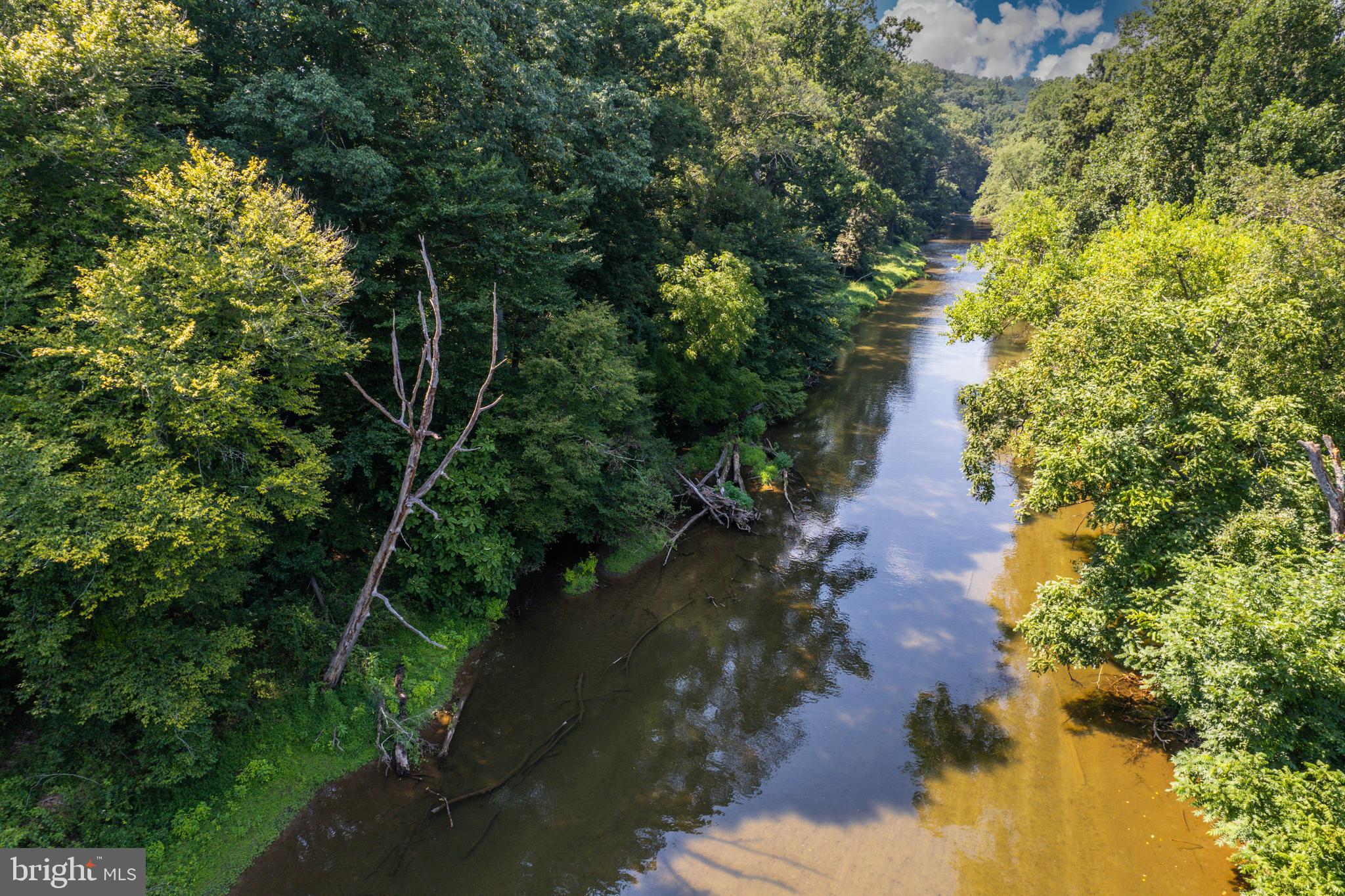 1901 Monkton Road Monkton, MD 21111 - Photo 2 of 21 a view of a yard with plants and large trees