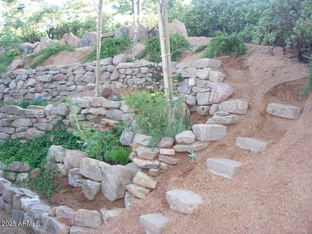 a view of a yard with plants and large trees