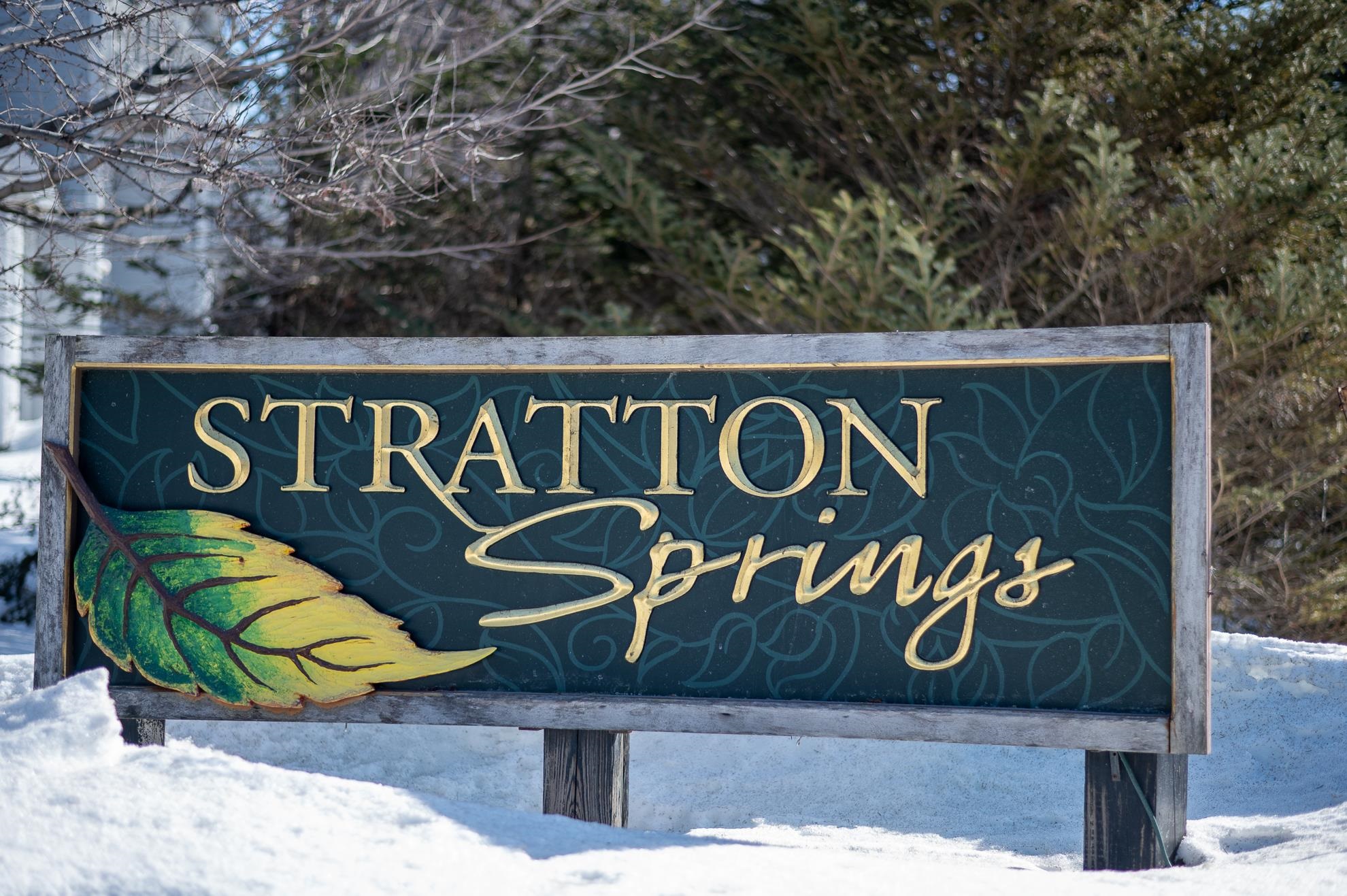 3 B Stratton Springs Road, Unit 3B Stratton, VT 05155 - Photo 33 of 33