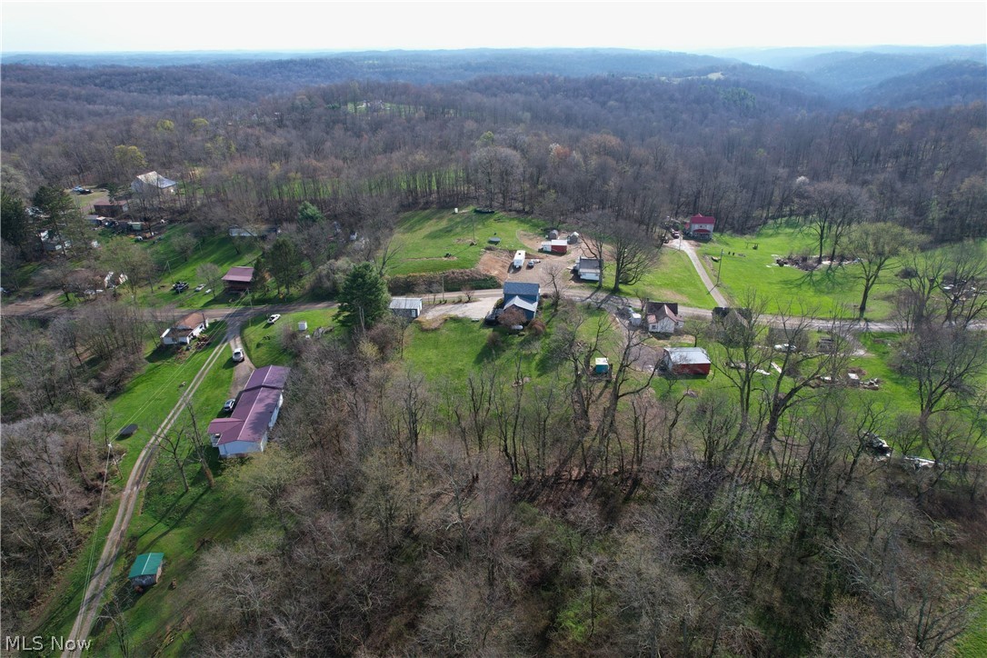 12972 Gilmore Road Southeast Port Washington, OH 43837 - Photo 48 of 50 Bird's eye view of a forest