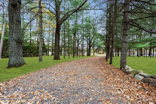 a view of a park with a tree