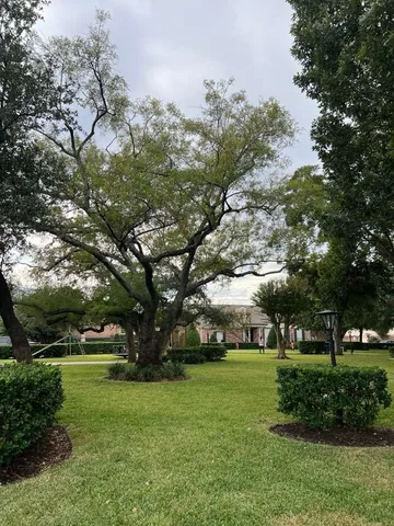 a view of green field